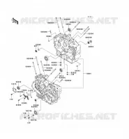 CRANKCASE(S) for Kawasaki VN800 CLASSIC
